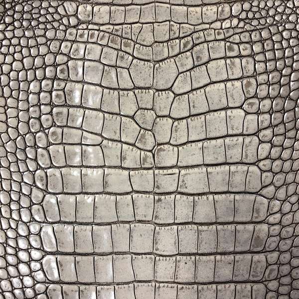 Crocodile Skin