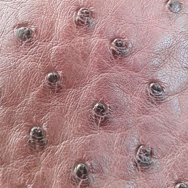 Ostrich Skin