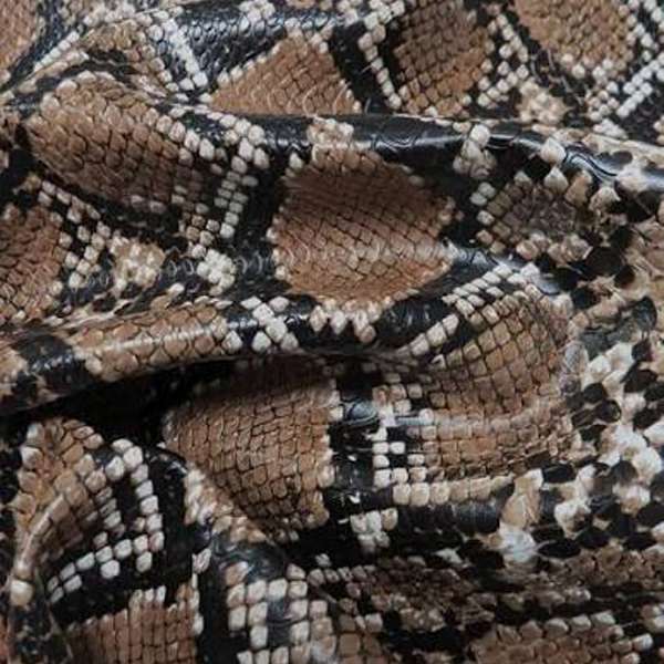 Python Skin